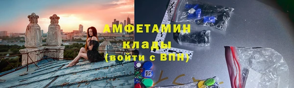 дмт Алзамай