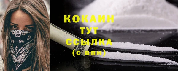 бошки Лабытнанги