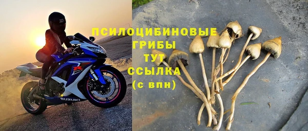 бошки Лабытнанги