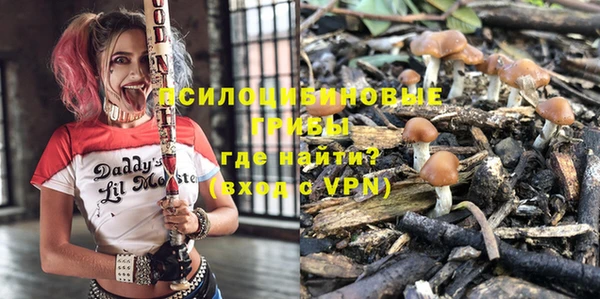 бошки Лабытнанги